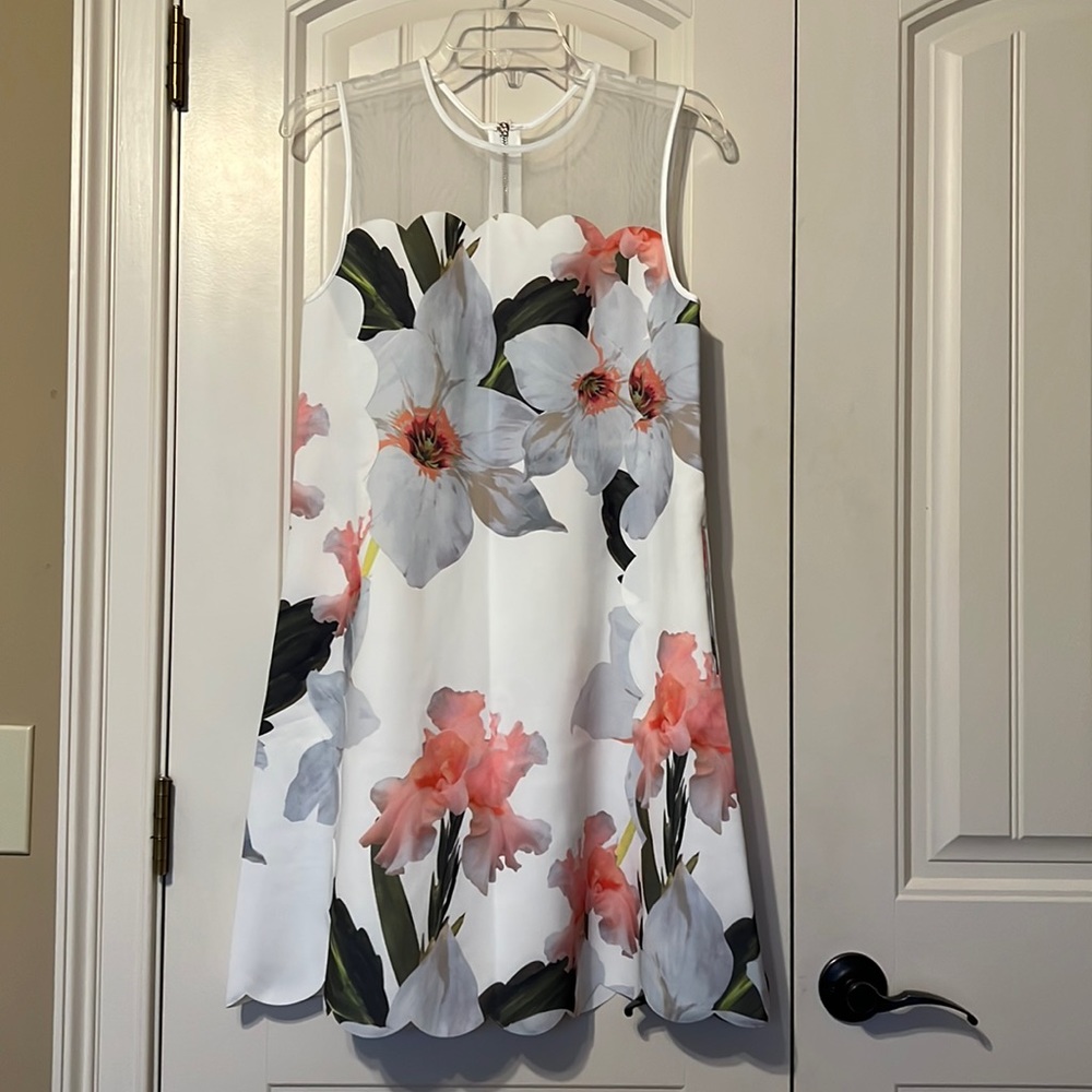 NWT Ted Baker size 2 dress